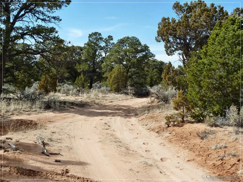 Bonal Springs Rim + One Toe Ridge