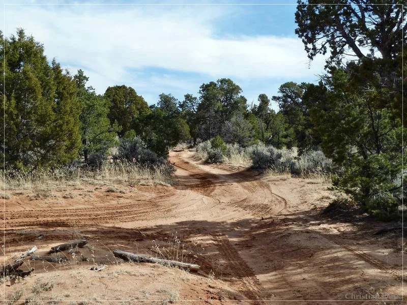 Bonal Springs Rim + One Toe Ridge