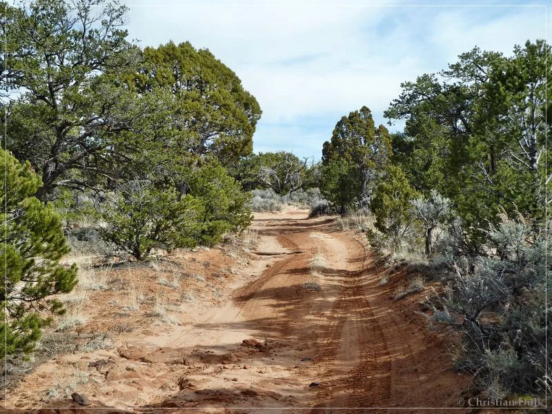 Bonal Springs Rim + One Toe Ridge