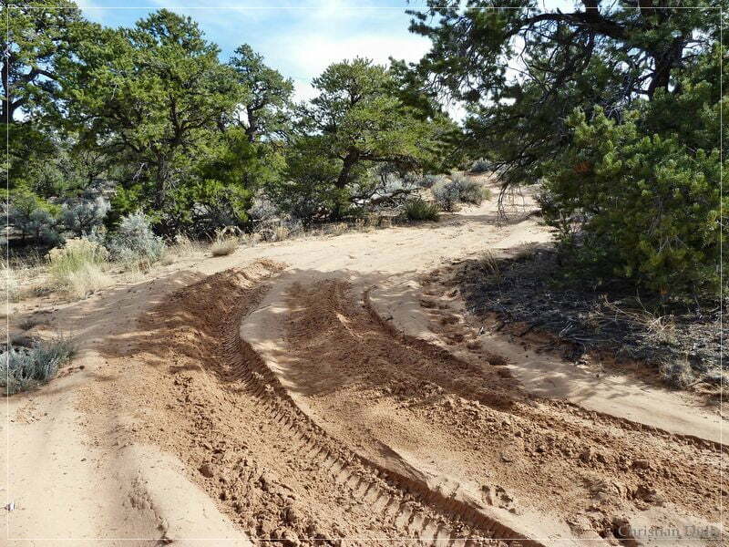 Bonal Springs Rim + One Toe Ridge