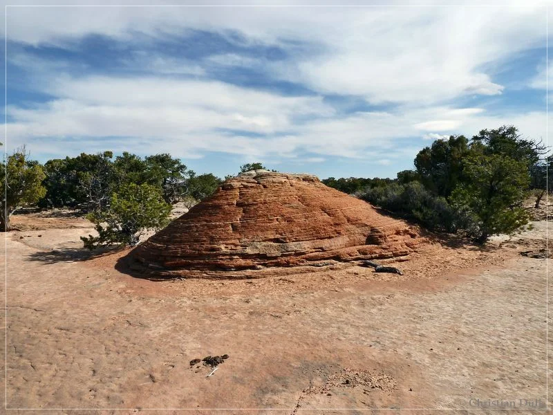Bonal Springs Rim + One Toe Ridge