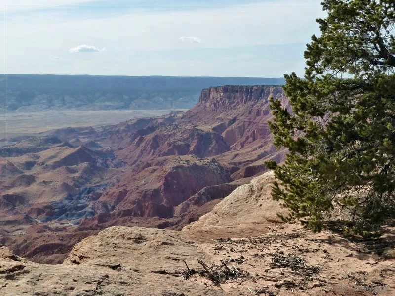 Bonal Springs Rim + One Toe Ridge