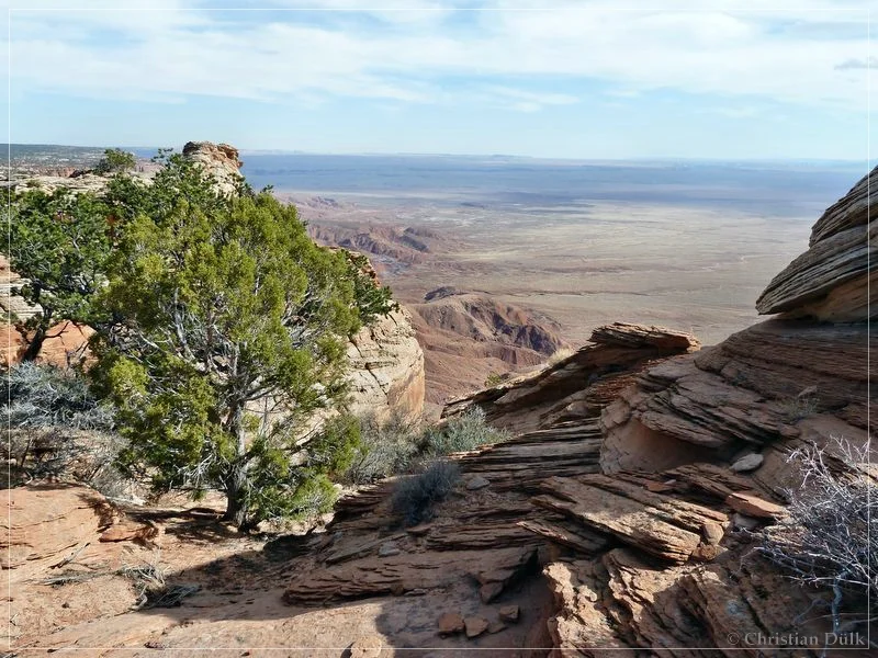 Bonal Springs Rim + One Toe Ridge