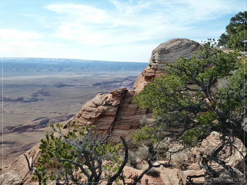 Bonal Springs Rim + One Toe Ridge
