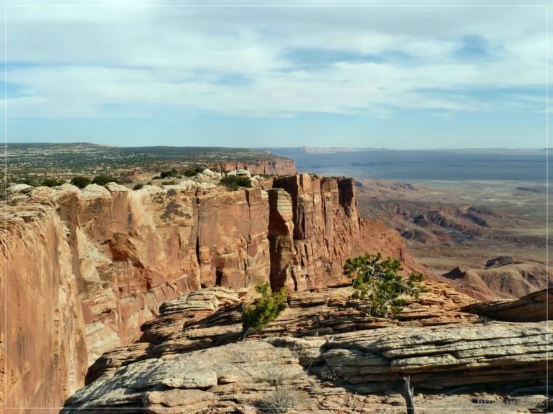 Bonal Springs Rim + One Toe Ridge