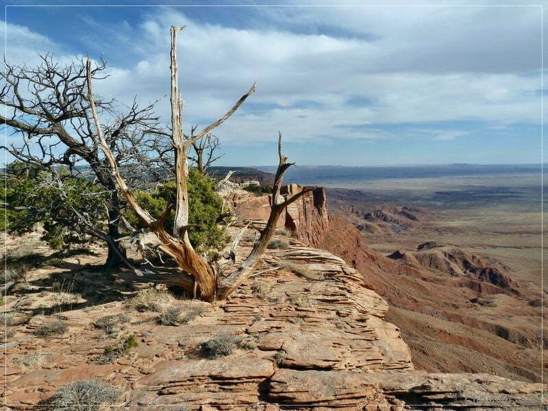 Bonal Springs Rim + One Toe Ridge
