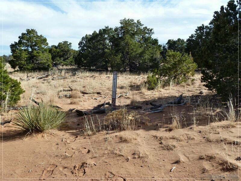 Bonal Springs Rim + One Toe Ridge