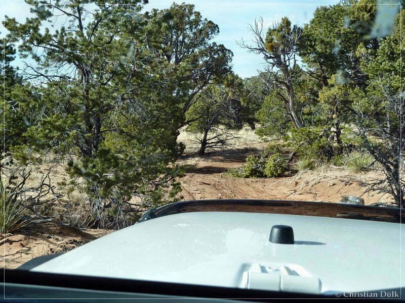 Bonal Springs Rim + One Toe Ridge
