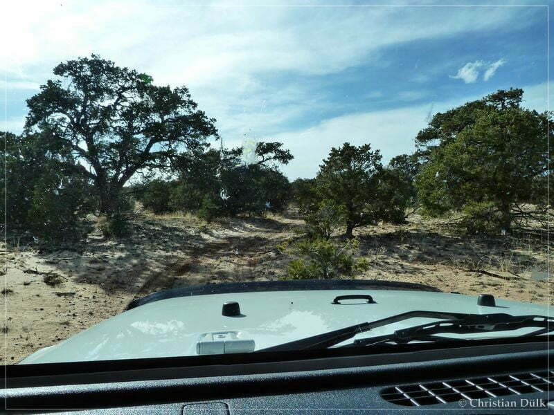 Bonal Springs Rim + One Toe Ridge