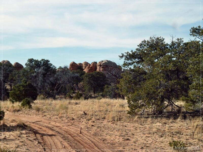 Bonal Springs Rim + One Toe Ridge