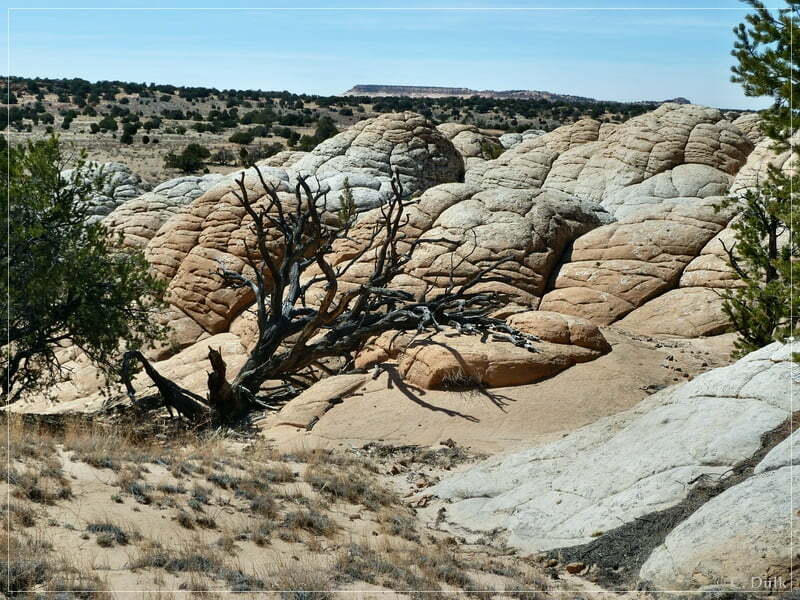 Powells Monument+Paria Needle, Vermilion Cliffs NM, AZ
