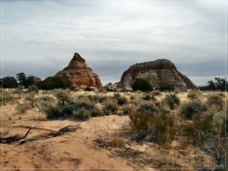 Powells Monument+Paria Needle, Vermilion Cliffs NM, AZ