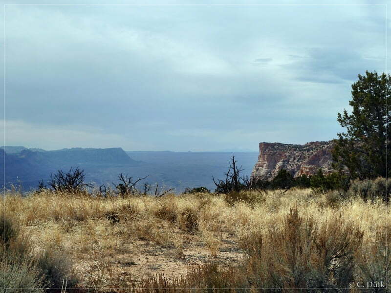 Powells Monument+Paria Needle, Vermilion Cliffs NM, AZ