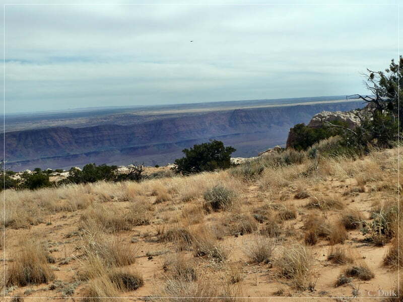 Powells Monument+Paria Needle, Vermilion Cliffs NM, AZ