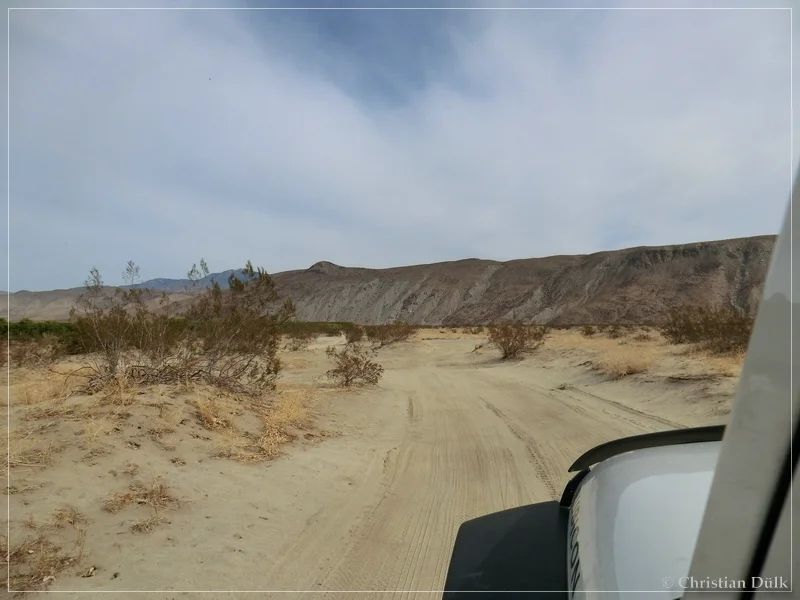 Coyote Creek, Anza Borrego SP, CA
