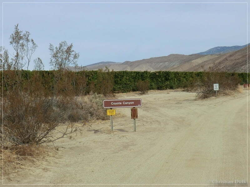 Coyote Creek, Anza Borrego SP, CA
