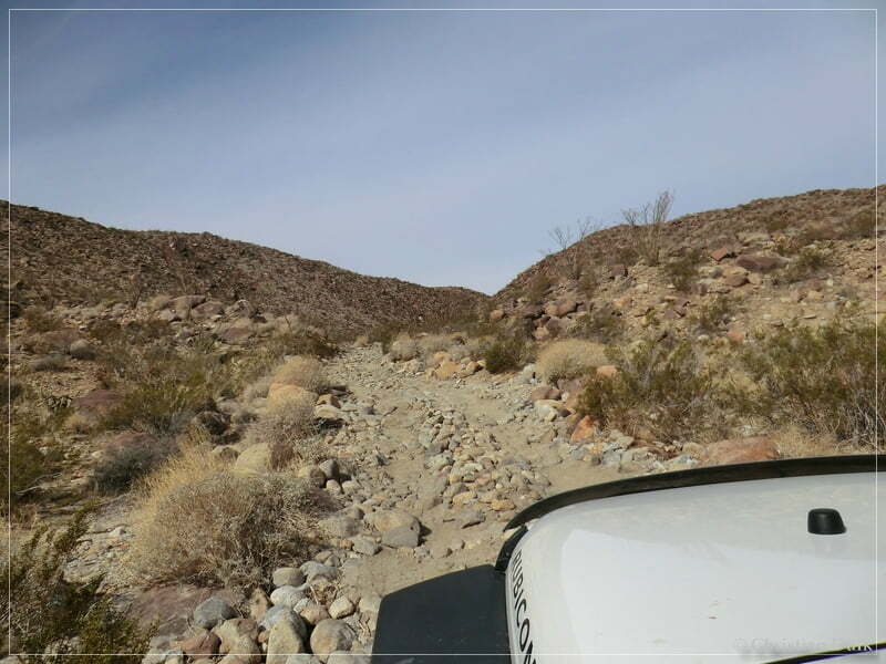 Coyote Creek, Anza Borrego SP, CA