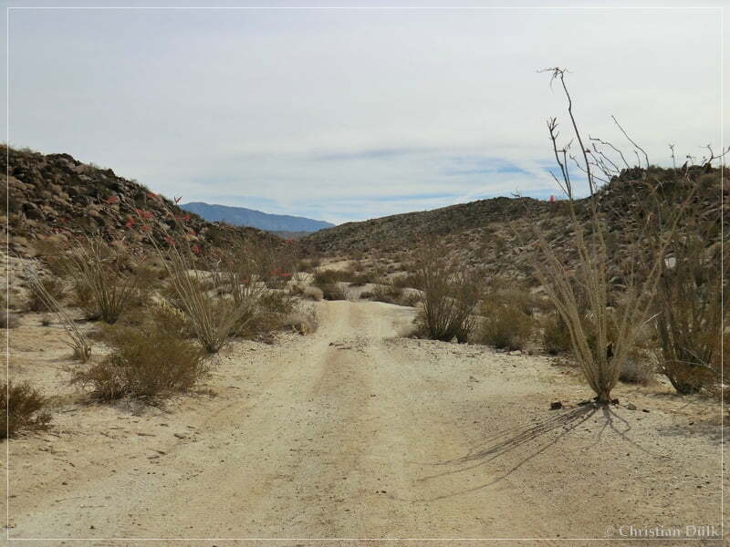 Coyote Creek, Anza Borrego SP, CA