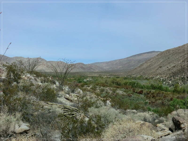 Coyote Creek, Anza Borrego SP, CA