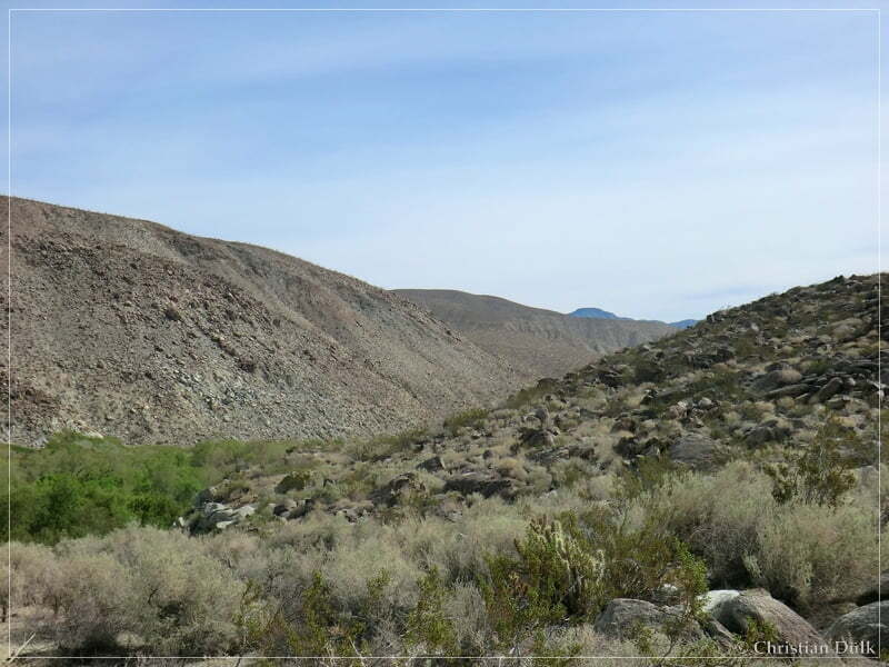 Coyote Creek, Anza Borrego SP, CA