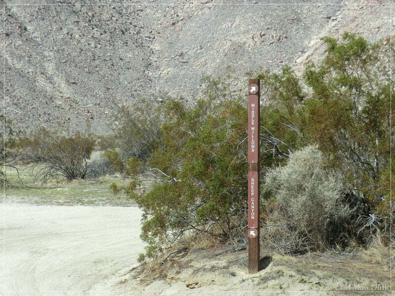 Coyote Creek, Anza Borrego SP, CA