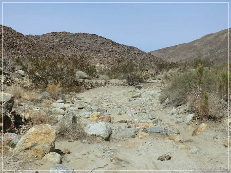 Coyote Creek, Anza Borrego SP, CA
