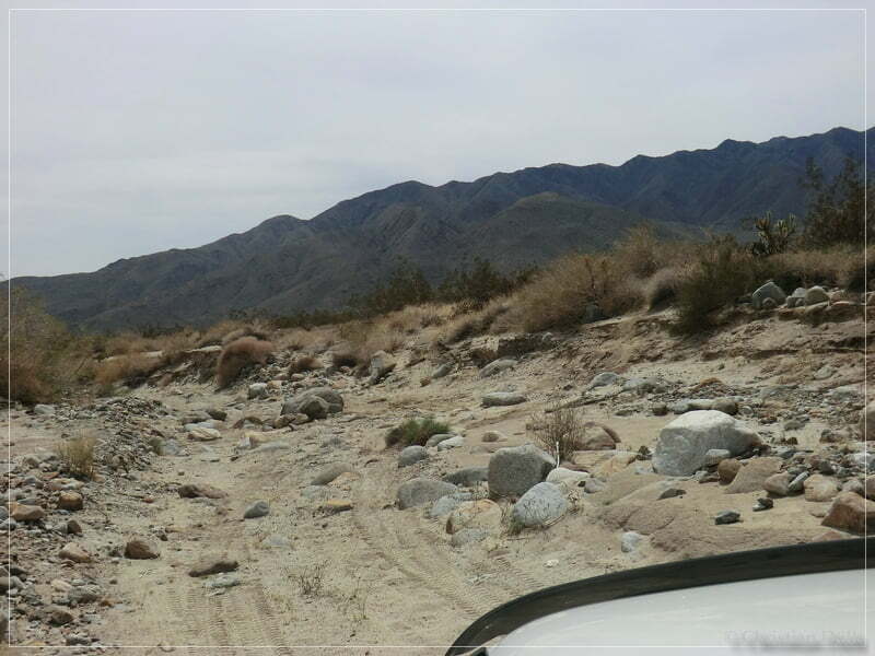 Coyote Creek, Anza Borrego SP, CA