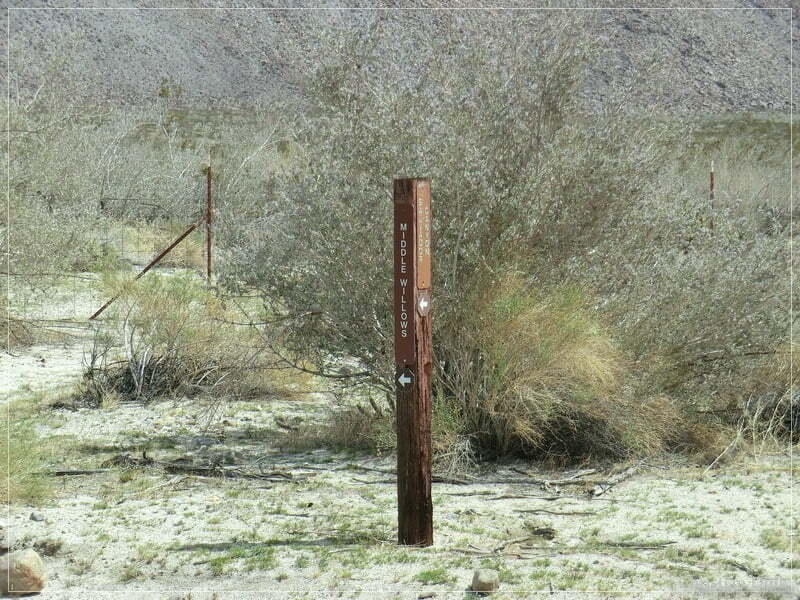 Coyote Creek, Anza Borrego SP, CA
