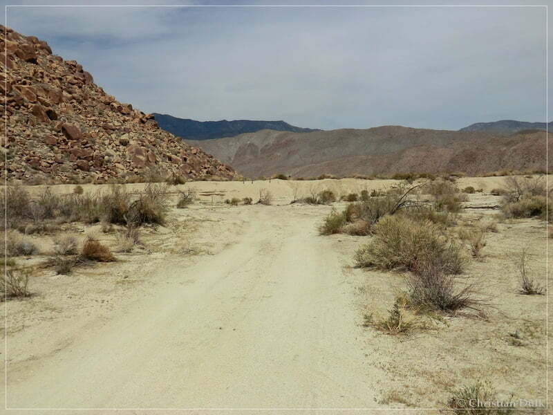 Coyote Creek, Anza Borrego SP, CA