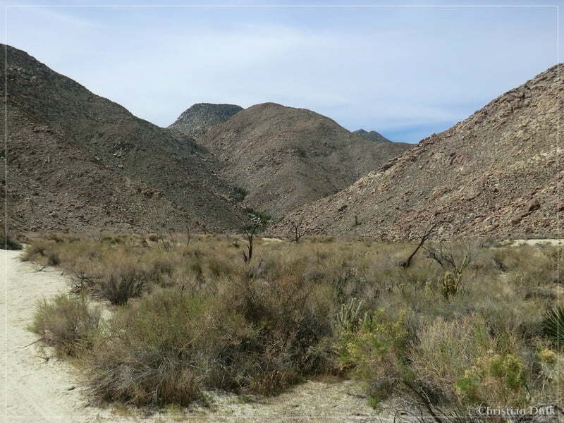 Coyote Creek, Anza Borrego SP, CA