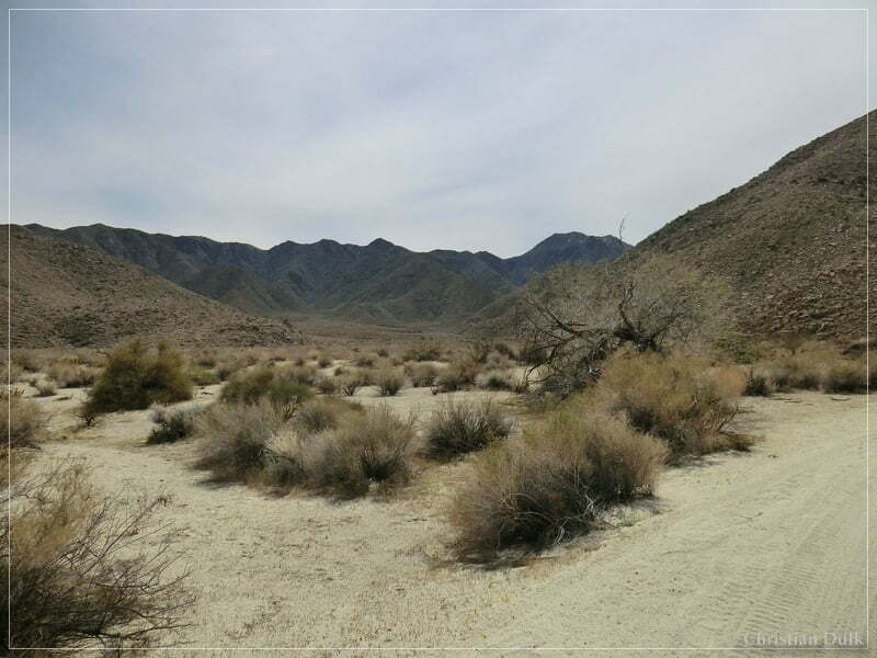 Coyote Creek, Anza Borrego SP, CA