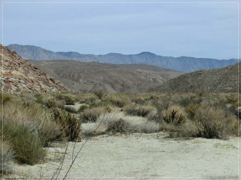 Coyote Creek, Anza Borrego SP, CA