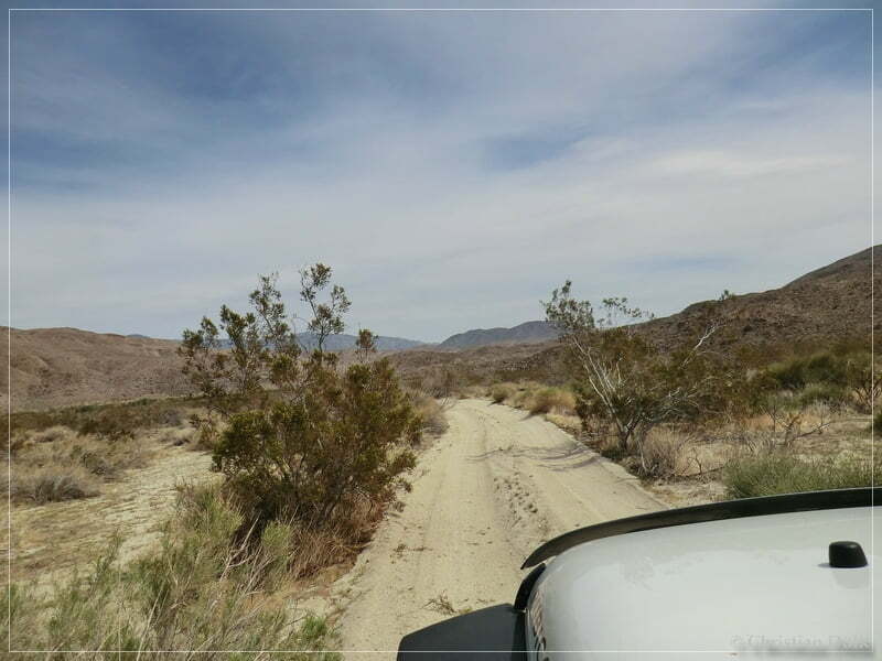 Coyote Creek, Anza Borrego SP, CA