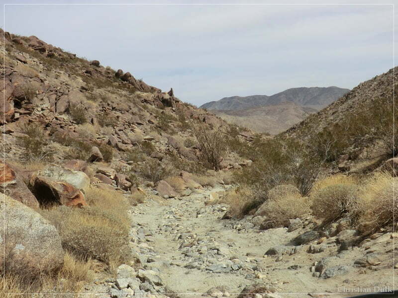 Coyote Creek, Anza Borrego SP, CA