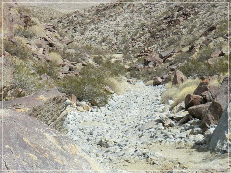 Coyote Creek, Anza Borrego SP, CA