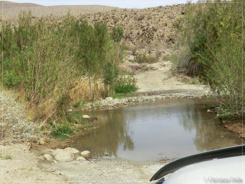 Coyote Creek, Anza Borrego SP, CA