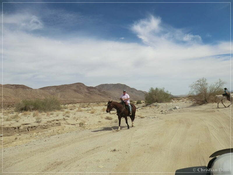Coyote Creek, Anza Borrego SP, CA
