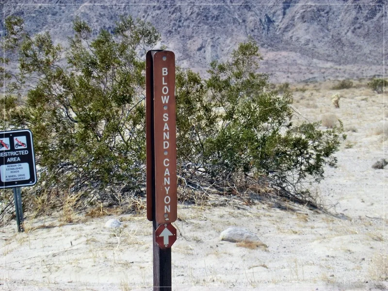 Rainbow Wash, Anza Borrego SP, CA