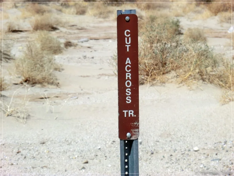Rainbow Wash, Anza Borrego SP, CA