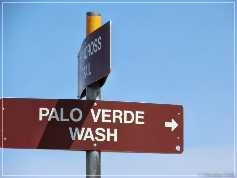 Rainbow Wash, Anza Borrego SP, CA