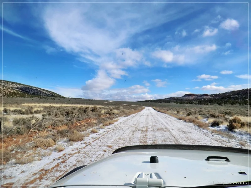 Bush Head Valley - Vermilion Cliffs NM