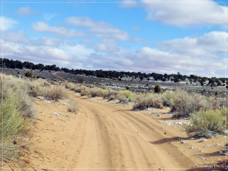 Bush Head Valley - Vermilion Cliffs NM