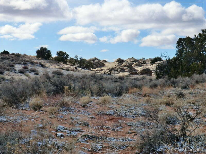 Bush Head Valley - Vermilion Cliffs NM