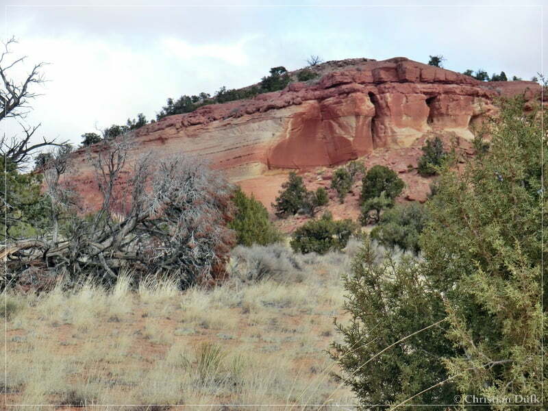 Bush Head Valley - Vermilion Cliffs NM