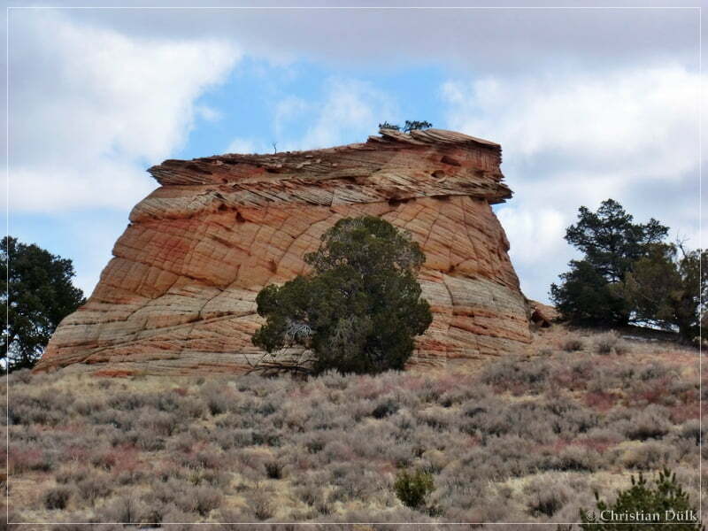 Bush Head Valley - Vermilion Cliffs NM