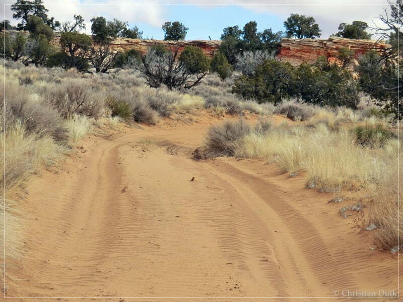 Bush Head Valley - Vermilion Cliffs NM