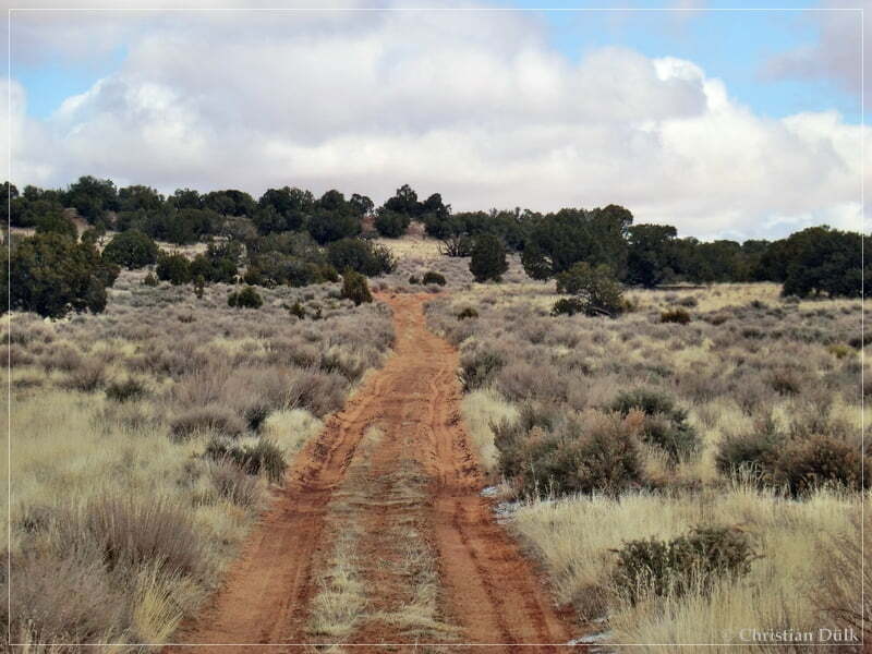 Bush Head Valley - Vermilion Cliffs NM