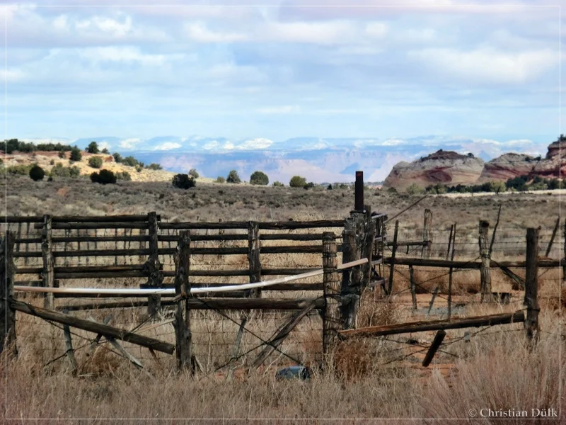 Bush Head Valley - Vermilion Cliffs NM