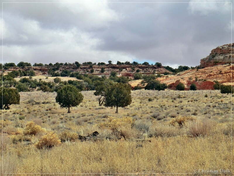 Bush Head Valley - Vermilion Cliffs NM