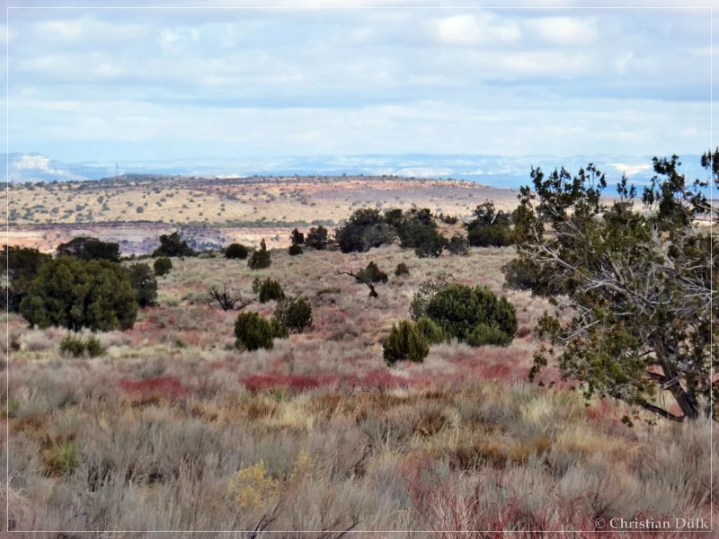 Bush Head Valley - Vermilion Cliffs NM